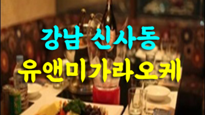 유앤미가라오케 최저가 밤대통령 꼭한번찾으세요 신사동유앤미 신사동텐카페