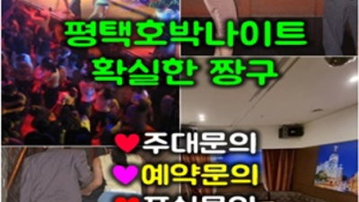 평택호박나이트 인간성좋은 SM 언제든지 연락주세요 평택3040나이트 평택유흥