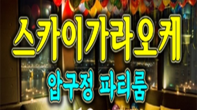 스카이가라오케 제대로 된 서비스 맨투더맨 무엇이든 오픈하겠습니다 청담동가라오케 청담동술집
