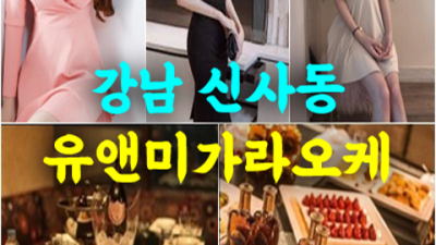 유앤미가라오케 욕망의 해결사 사람 기억에 남는 추억의 밤을 만들어 드립니다 신사동가라오케 신사동레깅스