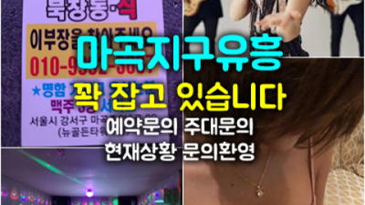 마곡셔츠룸 최저가 웨이터 확실한 케어 약속드립니다 마곡뉴골든타워 마곡노래방 발산역텐프로